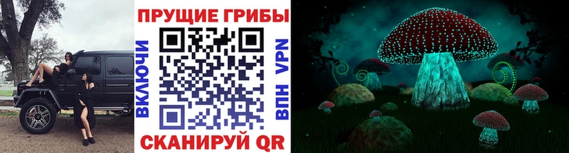 дарк нет наркотические препараты  Красный Кут  Галлюциногенные грибы Magic Shrooms 